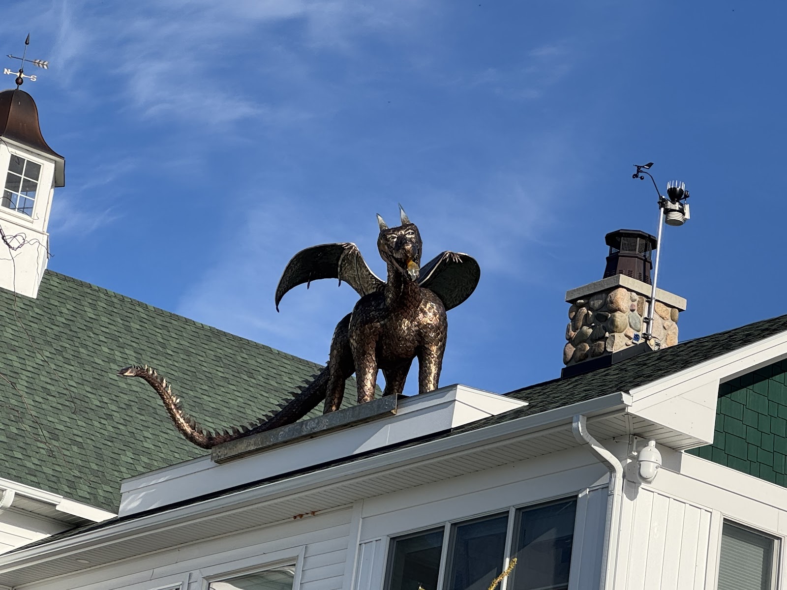 Dragon On The Roof in Charlevoix