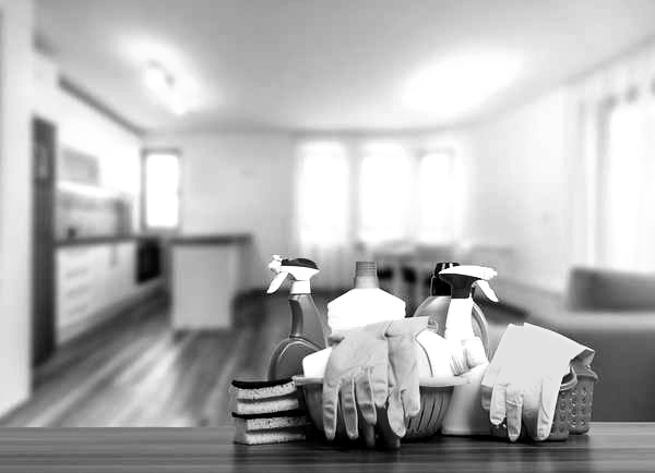 L.P. Professional Cleaning in